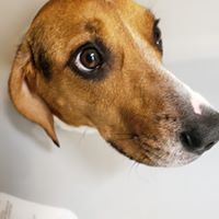 Karen Vesely's profile image