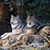 David Leggate's profile image