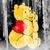 Ericka H Barrows's profile image