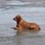 Michelle Parkin Nelson's profile image