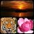 Kathy Condit-tartaglia's profile image