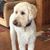 Mary Ann Helander's profile image
