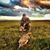 Jered Gasser's profile image