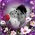 Michelle Figueras's profile image