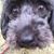 Peggy Kwater's profile image
