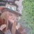Sharon Letts's profile image