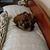 Betsy Gahler's profile image
