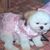 Kimala Peterson's profile image