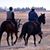 Vicki Knecht's profile image