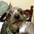 Kelli Bigler Chavez's profile image