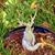 Andrea Levine Smith's profile image