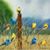 Beth Briese-Anderson's profile image