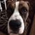 Randi Kelly's profile image