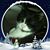 Amy Giles's profile image