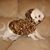 Angie Koch Vickrey's profile image