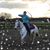 Suzanne Harland's profile image