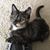 Joann Ulrich's profile image
