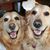 Debbie McKillip's profile image