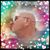 Pamela K Osborn's profile image