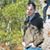 Sean-Eric Civitarese's profile image