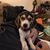 Kathy Srubar's profile image