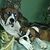 Danny N Sandy Manning's profile image