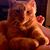 Pamela Hampton's profile image