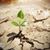 Vicki L. Valora-Martin's profile image