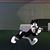 Michael Topa's profile image