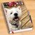 Sharon Zach Ertl's profile image