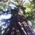 Deborah Haller's profile image