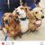 Betheney Anne Troyer's profile image