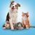Tallie Wood-Miller's profile image