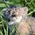 David Provost's profile image