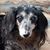 Kimberly Kristine Waggoner Tracy's profile image