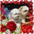 Bonnie Richards's profile image