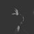 Laura Benitez's profile image