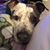 Jacinda Dupois's profile image