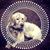 Dale Monica Johnson's profile image