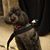 Carole Kirchner's profile image