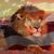 Jose Rodriguez's profile image