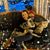 Amryn Ayres's profile image