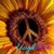 Dee J Lowery's profile image