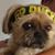 Christine Ogburn's profile image