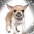 Cherry Sweatman's profile image