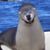 LeAnne Manchego's profile image