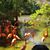 Linda Raines Harrell Nelson's profile image