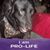 Julie Oberlitner's profile image