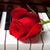 Myrlene Jacobs's profile image