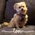 Karen Sinnott Sautner's profile image